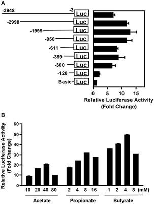 High Throughput Screening for Natural Host Defense Peptide-Inducing Compounds as Novel Alternatives to Antibiotics